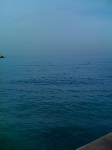 roulaayoubi's profile picture. BBC Arabic reporter/presenter. Will go back to the sea one day. Views are mine not anyone else's.