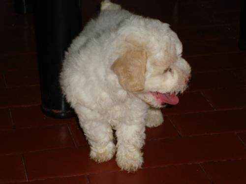 javi_9766's profile picture. 