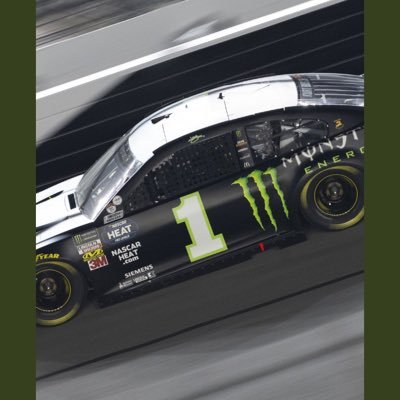 Kurt Busch fan