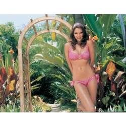 I love my garden, check out all the links and sites I used to achieve it!!!