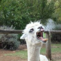 ponte_yukke(ゆっけ) (@football_kyuuri) Twitter profile photo