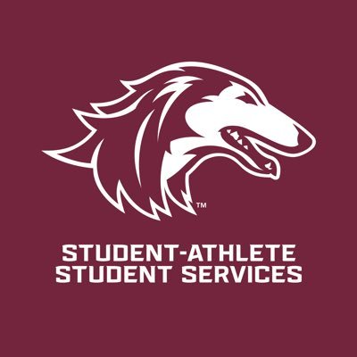 Saluki Student-Athlete Student Services & Developing Athletes With Goals (DAWG) Program