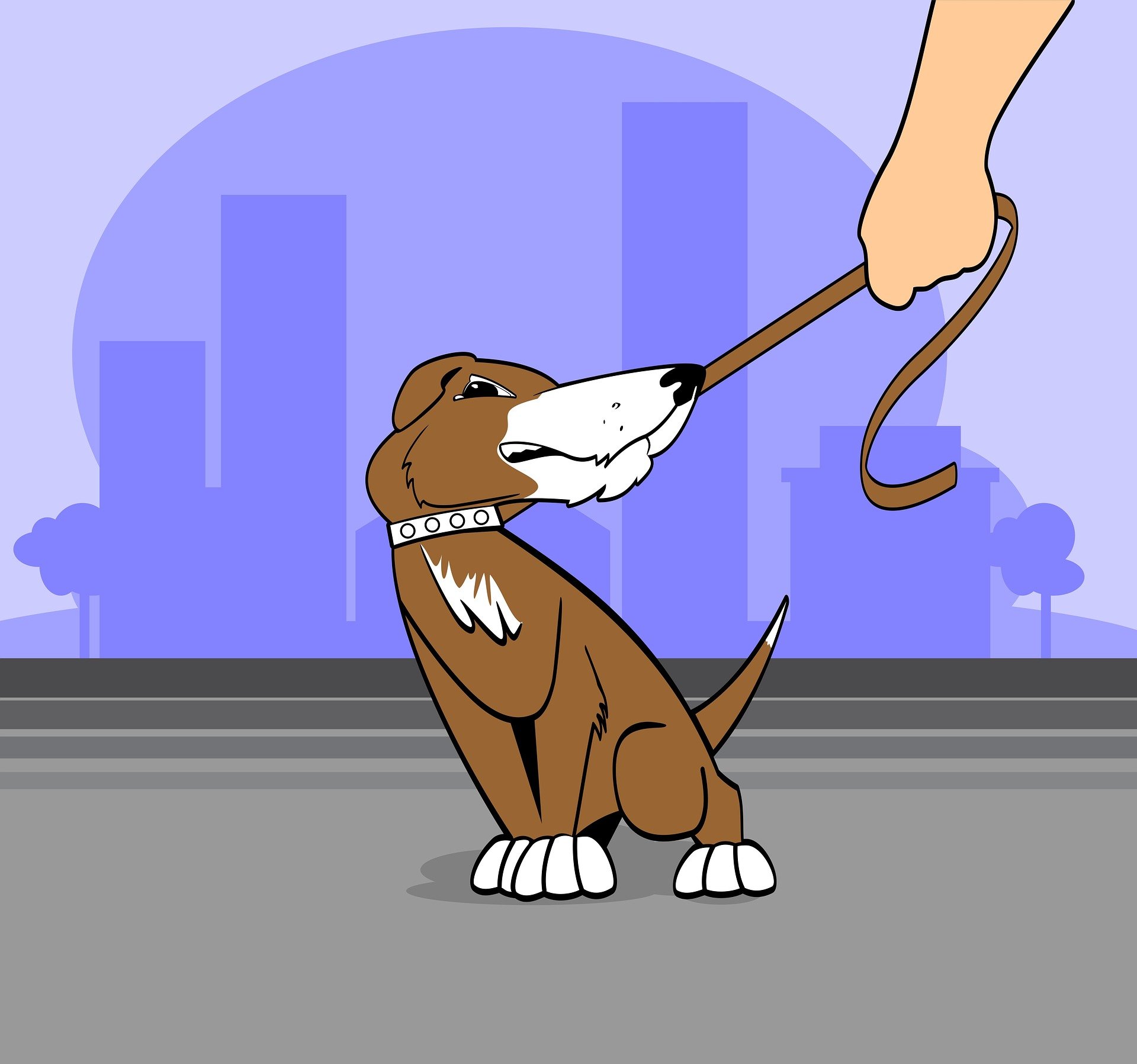 Dog training, and modern dog training methods, tips and tricks.