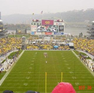 Steelers Fan in Jag Land. FSU Seminole Football Fan. Atlanta Braves Fan. Orlando Magic Fan.