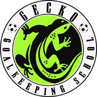 Gecko Goalkeeping (@geckogk) 's Twitter Profile