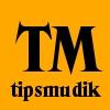 tipsmudik's profile picture. Tips-tips untuk melakukan perjalanan mudik anda. Info tipsmudik@gmail.com