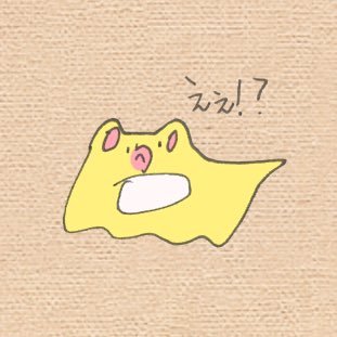 ぷるきゃこさんのプロフィール画像