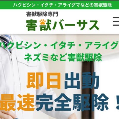 関西地区、中部地区で害獣駆除専門の害獣バーサスです！コウモリ、ネズミ、イタチ、アライグマ、ハクビシンなどお家でお困りの害獣を完全駆除！詳しくはhttps://t.co/pWX4L38llXにアクセス！お急ぎの方は➿0120-791-243