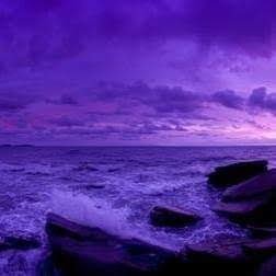 W24148197's profile picture. Betterment