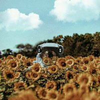 Ava P. (@stupidfatfinger) 's Twitter Profile