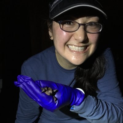 Evolutionary ecologist; amateur immunologist; #bats and disease; @Tulane EEB Asst Prof; @viralemergence investigator; she/her; tweets are my own