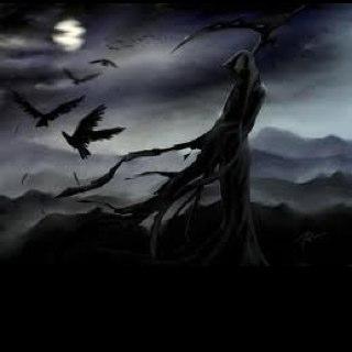 FordT80's profile picture. 