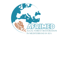 AFRIMED_eu (@afrimedeu) 's Twitter Profile Photo AFRIMED_eu (@afrimedeu) 's Twitter Profile Photo