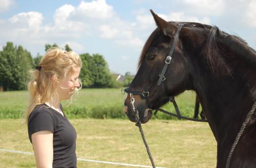 Instructor & trainer Freestyle/Horsemanship, Academic Art of Riding and Centered Riding