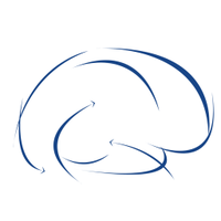 Institut de Neuroscience des Systèmes(@INS_Umr1106) 's Twitter Profile Photo