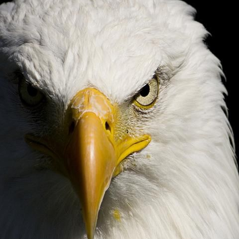 I predict things. I am not of this world. ..
POTUS Supporter.