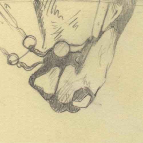 _sillyfilly's profile picture. 