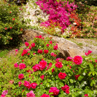 Elisabetta G. Lurgo (@elurgo1) 's Twitter Profile Photo Elisabetta G. Lurgo (@elurgo1) 's Twitter Profile Photo