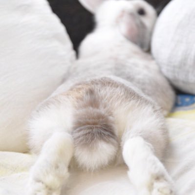 extrainstance's profile picture. 20⬆️