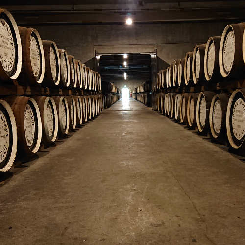 suzumushi101's profile picture. 後厄終了。今やウイスキー＞自転車。妻一人猫二匹。