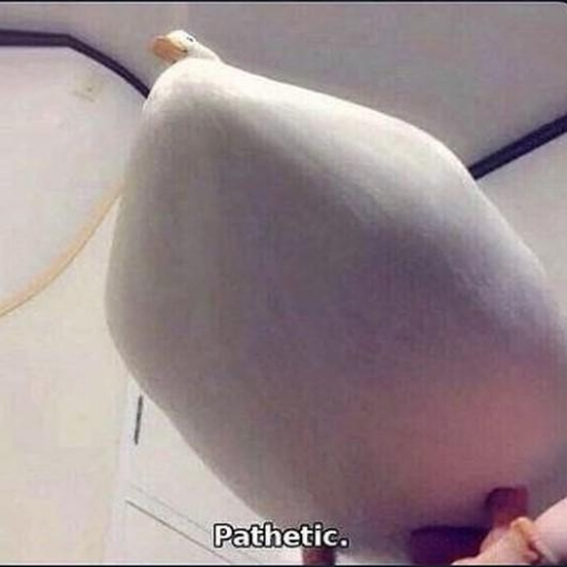 solomen_hec's profile picture. 