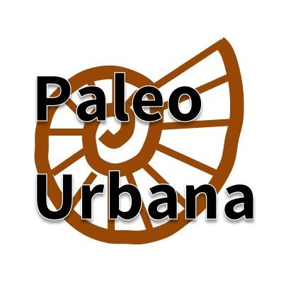 Urban Palaeontology. Find and share fossils hidden in your city. #UrbanPalaeontology #UrbanFossils #UrbanGeology