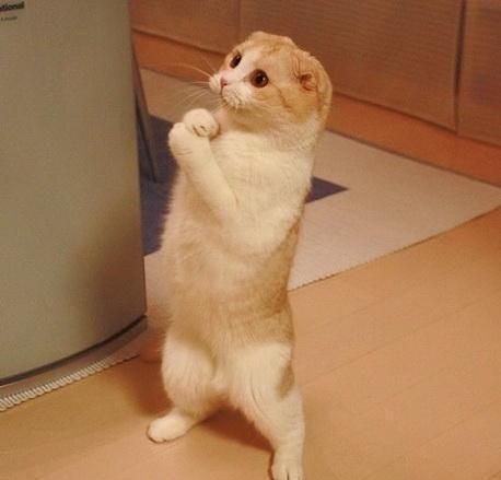 BeruIdau's profile picture. Рекомендую заффоловить! ;)