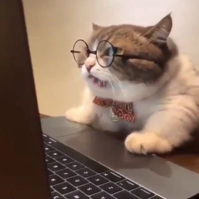 mipeng's profile picture. 평범한 직장인