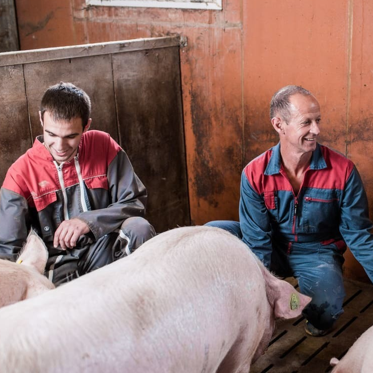 #ÉleveursDePorcs Qui de mieux qu'un éleveur pour expliquer le métier d’éleveurs? producteurs et consommateurs #agriculteursBzh #FrAgTw élu local