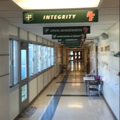 TomekPrincipal Profile
