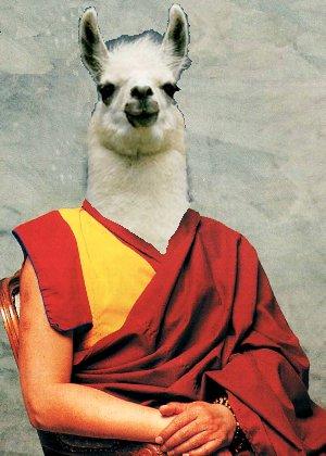 Official twitter page of the Office of His Assholiness the 14th Dalai Lama.