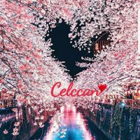 Celccan👑💙💙💙(@celccan) 's Twitter Profile Photo