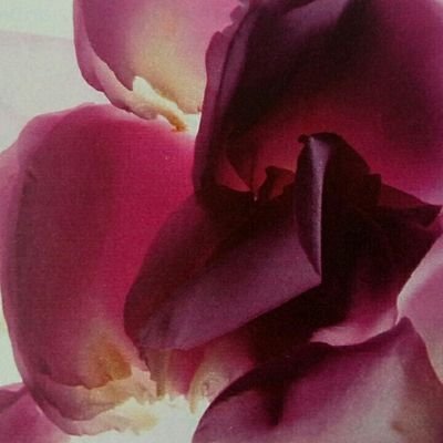 bugiardoaparole's profile picture. Se fai il mio nome non ci sono più