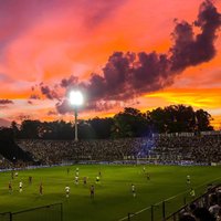 El Mejor (@elmejor66730052) 's Twitter Profile Photo