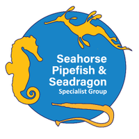 IUCN Seahorse(@IUCNSeahorse) 's Twitter Profile Photo