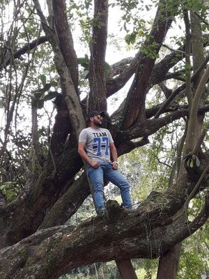 Oscarsantos231's profile picture. 