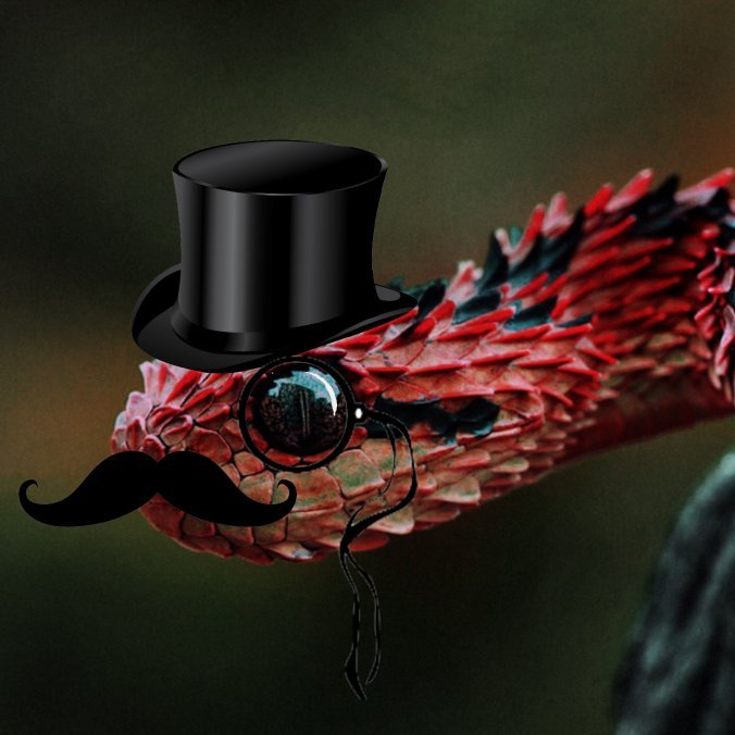 Texsnake1's profile picture. 