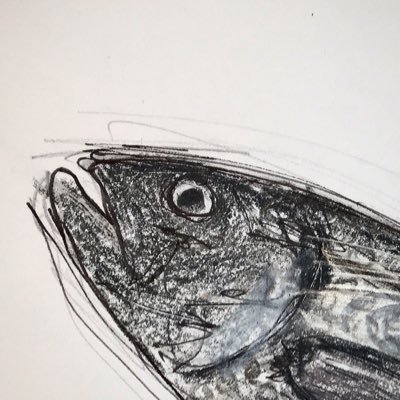 thecapecardamom's profile picture. spice rack