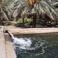 ابحث عن زوجه (@1gthsjoshula7xi) 's Twitter Profile