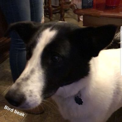 TyTyThat_Guy's profile picture. eh