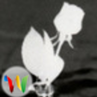 ⋅ (@ascii_70_85) 's Twitter Profile Photo ⋅ (@ascii_70_85) 's Twitter Profile Photo
