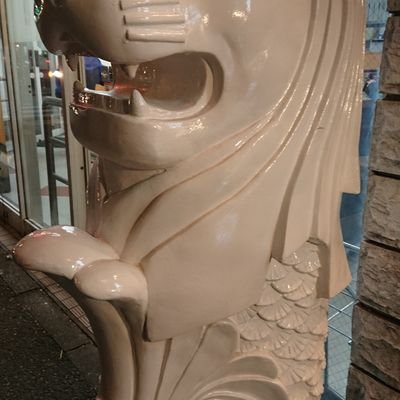 まーらいおん2015さんのプロフィール画像