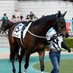 🐎きまぐれーな🏇 (@tha3tcohxzslap2) Twitter profile photo 🐎きまぐれーな🏇 (@tha3tcohxzslap2) Twitter profile photo