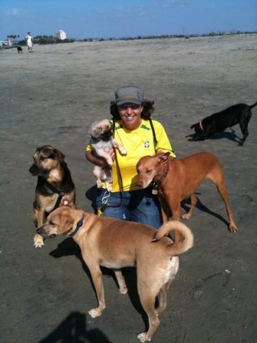 Dog wrangler specializing outdoor dog excursions in San Diego to the beach and dog parks.