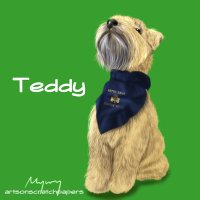 Teddy the Wheatie(@wheatienamedted) 's Twitter Profile Photo