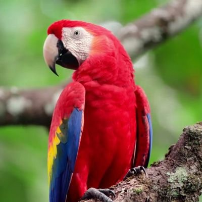 samserans1994's profile picture. 