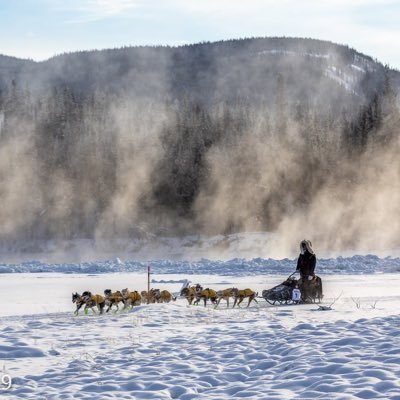 Professional dog musher Brent Sass and crew, living our best life in Eureka, AK. Come join us for tours!