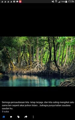 cicil00336444's profile picture. mata