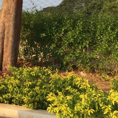 Martinselvakuma's profile picture. Marti