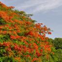 Jacqueline Bello - @jackiebe7 - Twitter